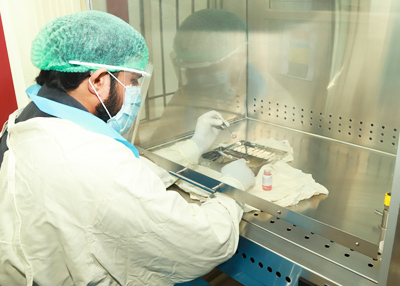 tissue_processing
